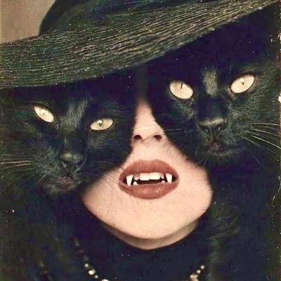 Coisaestranha@ayom.media