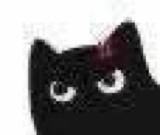 :blackcat_11128: :blackcat_11128: