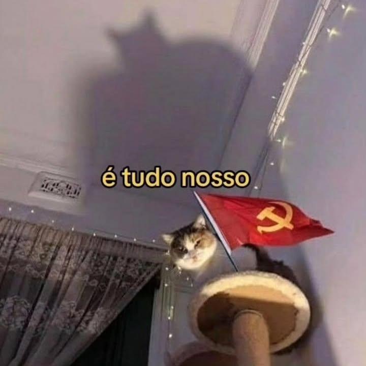 A imagem mostra um gato sentado em um poste de arranhar, com uma sombra projetada na parede acima dele. A sombra do gato se assemelha a uma figura com um chapéu, criando uma ilusão humorística. Ao lado do gato, há uma pequena bandeira vermelha com o símbolo do Partido Comunista, que consiste em um martelo e uma foice dourados. A frase "é tudo nosso" está escrita em amarelo sobre a imagem, sugerindo uma mensagem de propriedade ou domínio. A iluminação suave e as luzes de Natal ao fundo adicionam um toque de aconchego à cena.

Fornecido por @altbot, gerado localmente e de forma privada usando Ovis2-8B

🌱 Energia utilizada: 0.172 Wh
